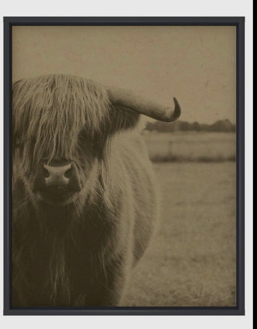 Home Is Where My Herd Is Artwork