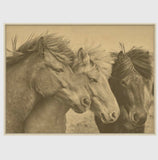 Three Ponies Horses Hemp Art Picture