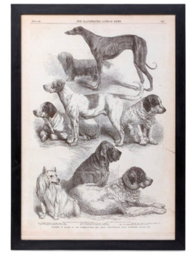 Vintage Sepia Dog Framed Prints