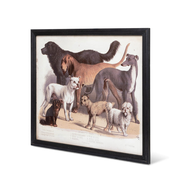 Large Framed Vintage Dog Print