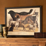 Large Framed Vintage Dog Print