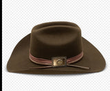 SONGBIRD CHARLIE 1 HORSE FELT HAT