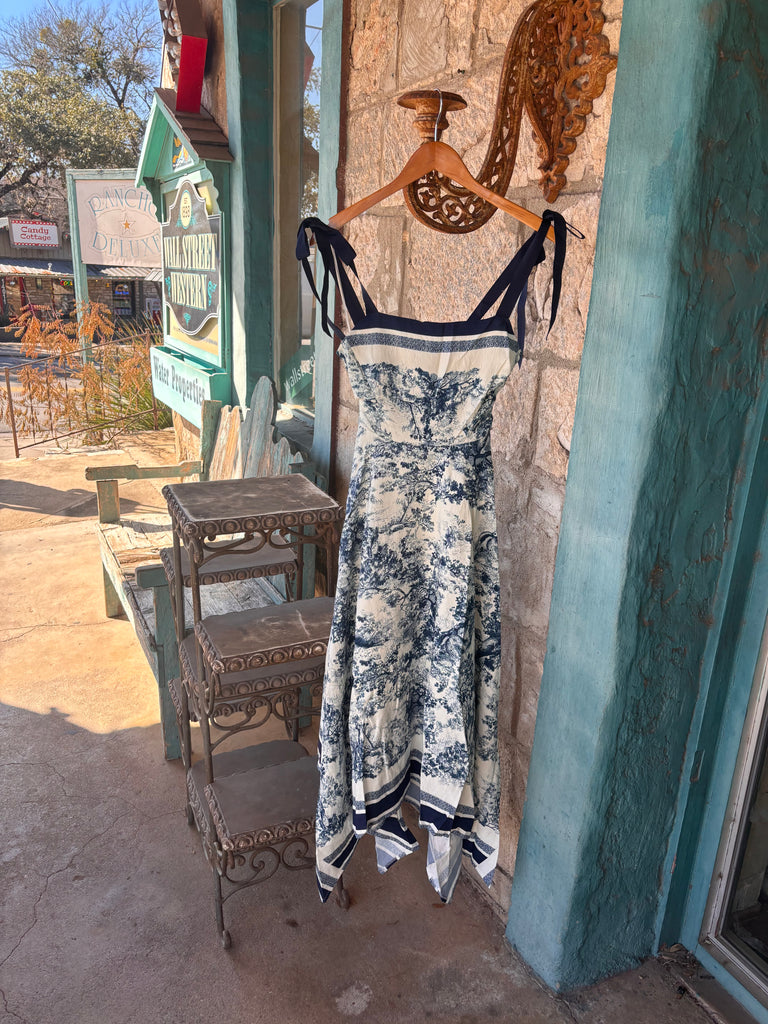 Toile de Jouy Navy HiLo Maxi Dress