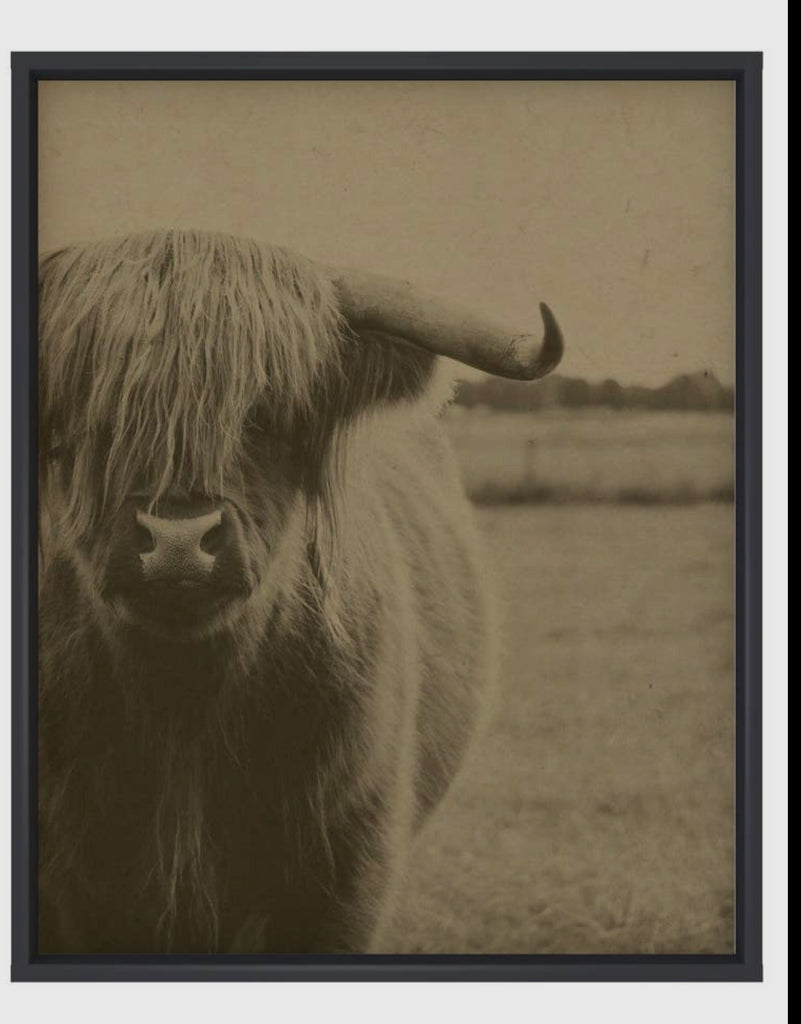 Hemp Highland Cow Art Print Framed