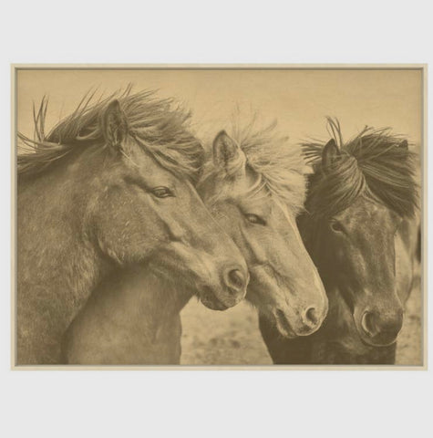 Three Ponies Horses Hemp Art Picture
