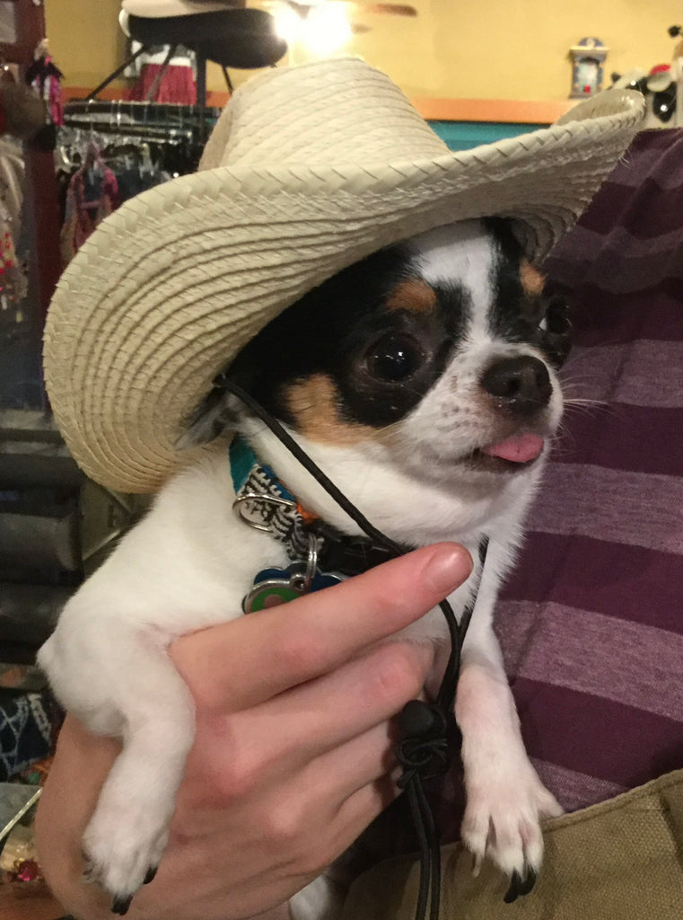 Mini Gus Cowboy Pet Hat