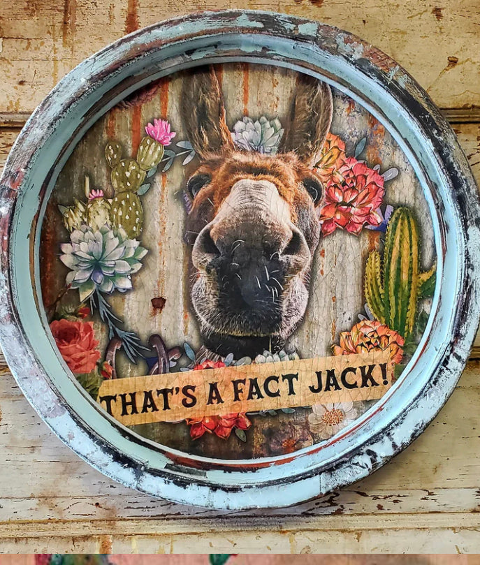 That’s a Fact Jack Donkey Art
