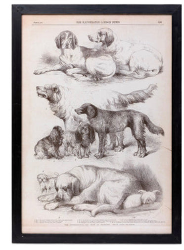 Vintage Sepia Dog Framed Prints