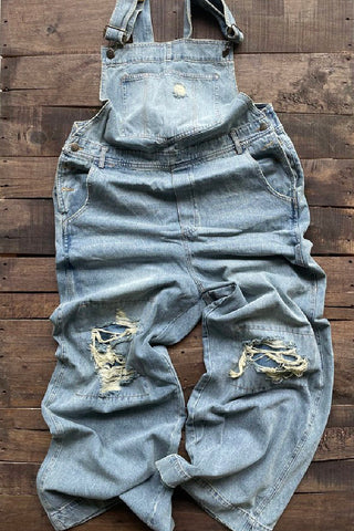 Free Falling Distressed Overalls