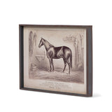 Prize Race Horse Vintage Prints SET OF 6
