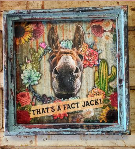 That's a Fact Jack! Donkey Burro Artwork