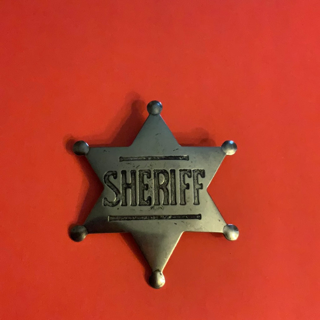 Sheriff Pin Badge
